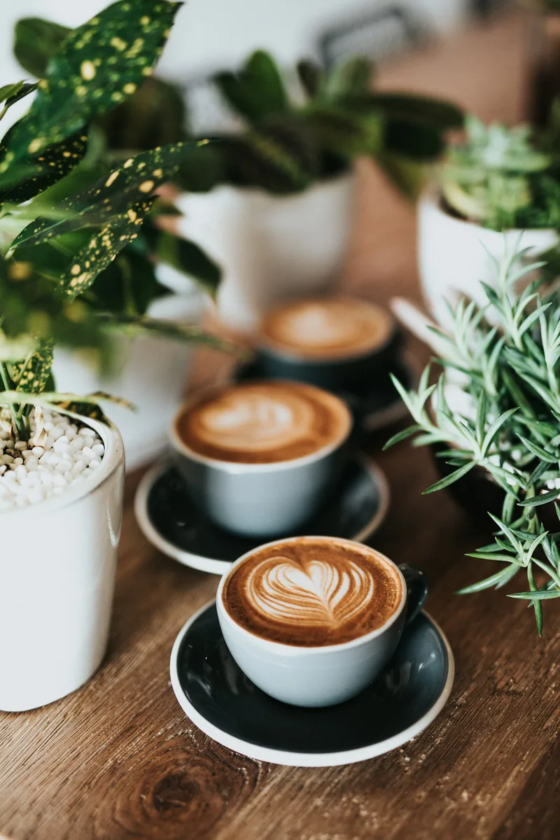 A latte on a saucer